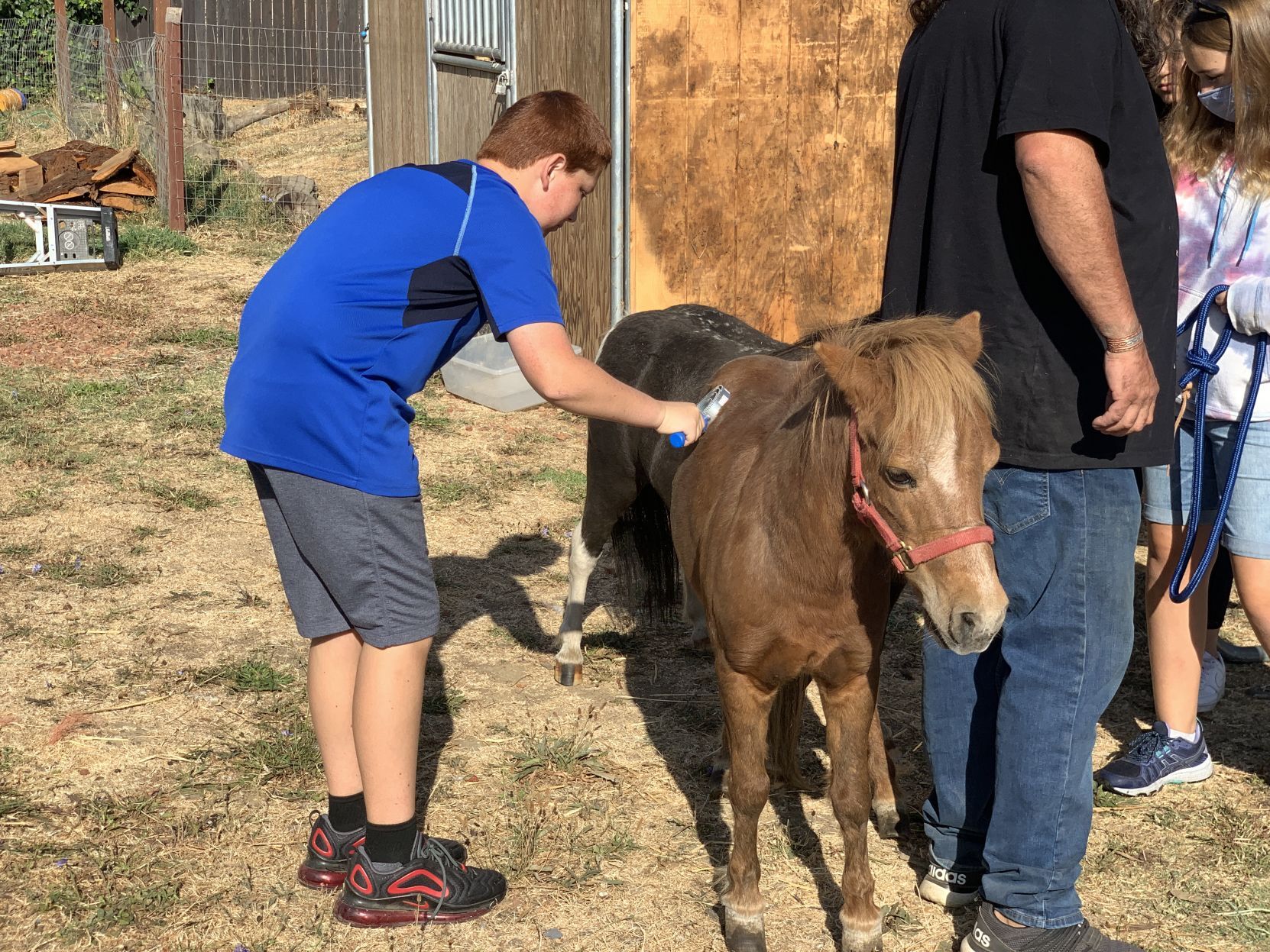 Napa Christian school farm